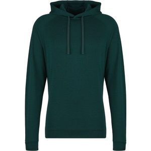 Stoic Merino260 MMXXGöteborg Hoody Merinohoodie (groen)