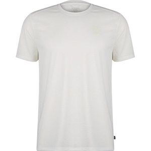 Stoic QuickDry SkaraSt Tee Sportshirt (Heren |grijs/wit)