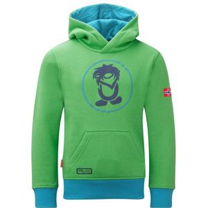 Trollkids Kids Troll Sweater Hoodie (Kinderen |groen)