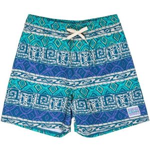 Quiksilver Kids Surfsilk Straight Volley 14 Boardshort (Kinderen |turkoois/blauw)