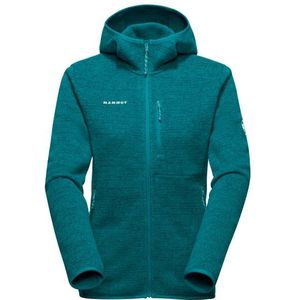 Mammut - Arctic IV - Fleece - Met Volledige Rits