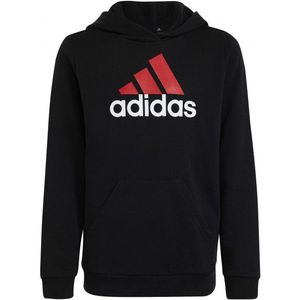 adidas Kids BL 2 Hoodie Hoodie (Kinderen |zwart)