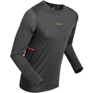 Daehlie Performance Wool Long Sleeve Merino-ondergoed (Heren |grijs)