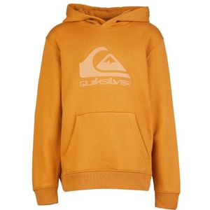 Quiksilver - Kid's Comp Logo Hoodie - Oranje - Hoodie