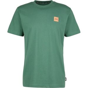 Picture Lil Cork Tee T-shirt (Heren |groen/turkoois)