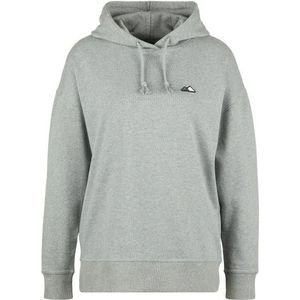 Bergfreunde Womens Bergfreunde Hoody Hoodie (Dames |grijs)