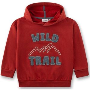 Sanetta Kids Sweatshirt 12259 Trui (Kinderen |rood)