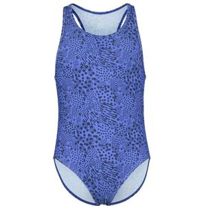 Heber Peak Kids SeapineHe Swimsuit Badpak (Kinderen |blauw)