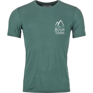 Ortovox 120 Cool Tec Mountain Duo T-Shirt Merinoshirt (Heren |grijs)