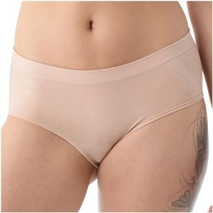 Smartwool Womens Intraknit Hipster Boxed Merino-ondergoed (Dames |beige)