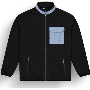 Picture Dauwy Fullzip Fleece Fleecevest (Heren |zwart)