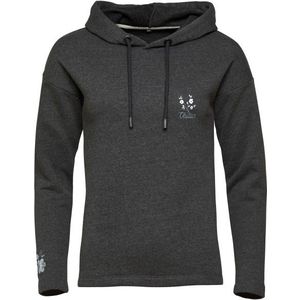 Chillaz Womens Mondsee Hoody Hoodie (Dames |grijs)