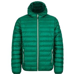 Alvivo Dublin Donsjack (Heren |groen/turkoois)