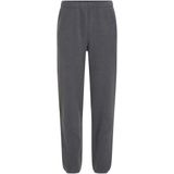 Icebreaker - Merino Blend 800 Realfleece Classic Pile Pants - Trekkingbroek - Blauw/Grijs