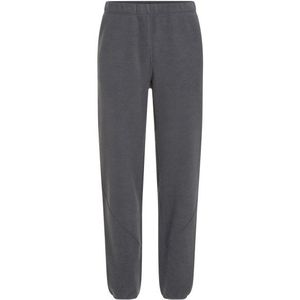 Icebreaker - Merino Blend 800 Realfleece Classic Pile Pants - Trekkingbroek - Blauw/Grijs