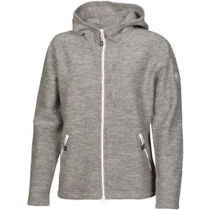 Ivanhoe of Sweden Womens Tara Hood Wollen vest (Dames |grijs)