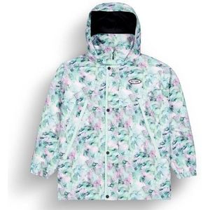 Picture Womens Citrik Jacket Ski-jas (Dames |grijs |waterdicht)