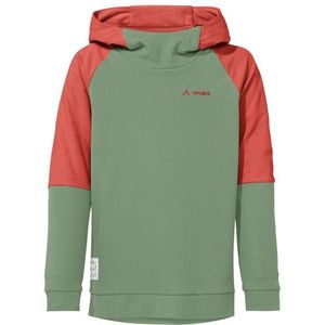 Vaude Kids Hylax Hooded Pullover Hoodie (Kinderen |groen)