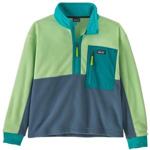 Patagonia Kids Microdini 1/2 Zip P/O Fleecetrui (Kinderen |groen)