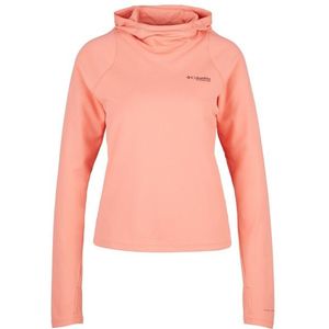 Columbia Womens Summit Valley Hoodie Sportshirt (Dames |roze)