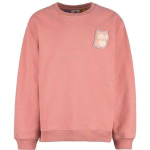 Namuk Kids Macem Pullover Big Owl Trui (Kinderen |roze)