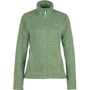 Vaude Womens Aland Jacket Fleecevest (Dames |groen)