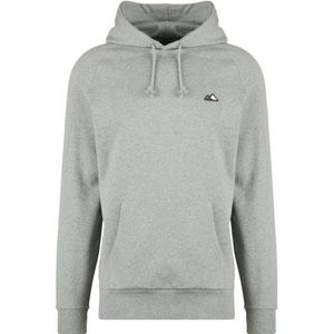 Bergfreunde Bergfreunde Hoody Hoodie (Heren |grijs)