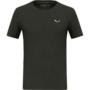 Salewa Eagle Minilogo Alpine Merino T-Shirt Merinoshirt (Heren |groen)