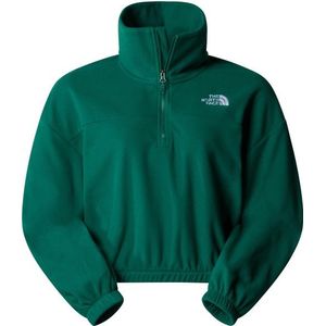 The North Face Womens 100 Glacier Half Zip Fleece Fleecetrui (Dames |groen)