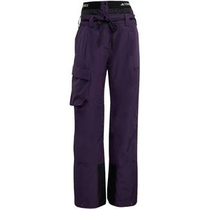 Terrex Xploric 2 Layer Insulated CLIMAPROOF Broek