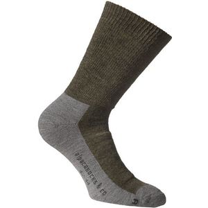 Alpacasocks&Co Merino Hiking 2-Pack Merinosokken (grijs)