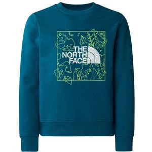 The North Face Teens New Graphic Crew Trui (Kinderen |blauw)