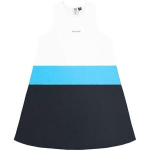 Picture Womens Flowa Dress Jurk (Dames |blauw)