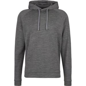 Stoic Merino260 MMXXGöteborg Hoody Merinohoodie (grijs)
