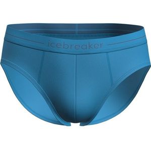 Icebreaker Anatomica Briefs Merino-ondergoed (Heren |blauw)