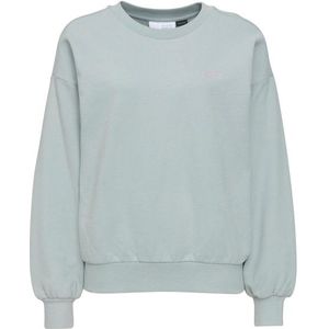 Mazine Womens Monica Sweater Trui (Dames |grijs)