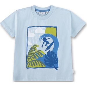 Sanetta Kids T-Shirt 11865 T-shirt (Kinderen |grijs)