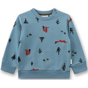 Sanetta Kids Sweatshirt 12278 Trui (Kinderen |turkoois)
