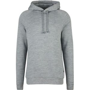 Stoic MerinoFlatFleece240 SolbergSt Hoody Merinohoodie (Heren |grijs)