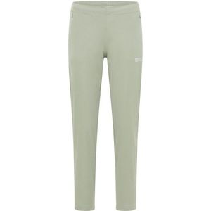 Jack Wolfskin Womens Prelight Pro Pant Trekkingbroek (Dames |grijs)