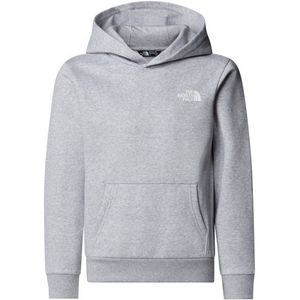 The North Face Teens Simple Dome Hoodie Hoodie (Kinderen |grijs)