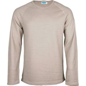 Reiff Shirt Gregor Merinotrui (Heren |grijs)