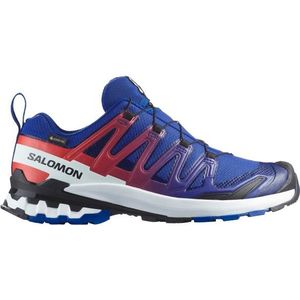 Salomon XA Pro 3D V9 GORE-TEX Equipe Multisportschoenen (blauw |waterdicht)