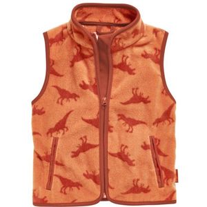 Playshoes Kids Fleece-Weste Dinos Fleecebodywarmer (Kinderen |oranje/rood)