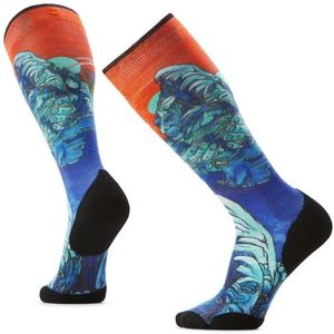 Smartwool - Ski Targeted Cushion - Skisokken - Meerkleurig