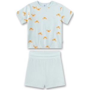 Sanetta Baby Boy Modern Mainstream Pyjama Short Ondergoed (Kinderen |grijs)