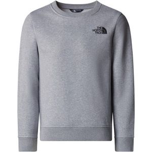 The North Face - Box Nse Regular Crew - Trui - Grijs
