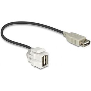 Keystone - USB 2.0 - Delock