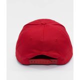Flexfit 110 Curved Visor Snapback