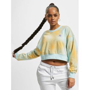 Adidas Originals Aop Sweatshirt